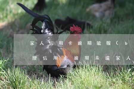 家人信用卡逾期能報(bào)警嗎怎么處理，信用卡逾期未還，家人可以報(bào)警處理嗎？